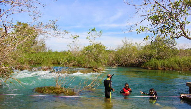 Performing different dives