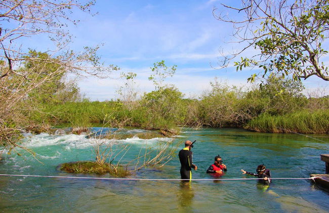 Snorkelling in the Formoso River - Foto 3