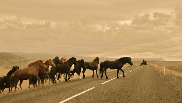 Seljalandsfoss Horizons - Foto 5