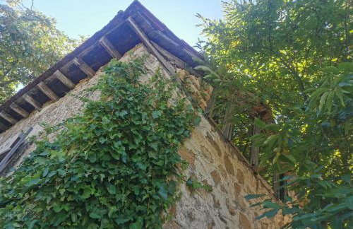 Dendrocopos Medius - Photo 5