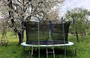 Ferienwohnung auf dem Land, Haus Hans Stepha - Foto 24