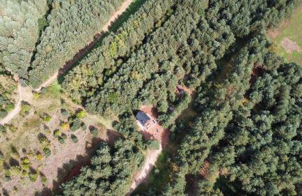 Dziupla House - Foto 30