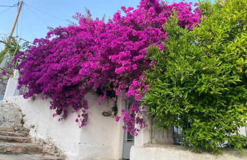 Antiklea Villa - Foto 44