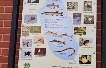 Domek nad jeziorem Lubkowo - Foto 18