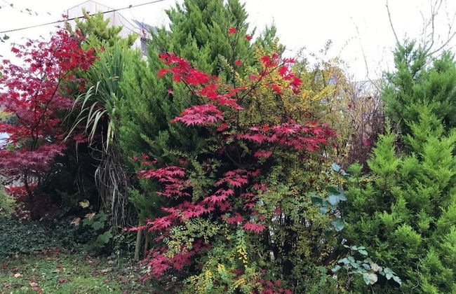 Queens Road Rental - Winchester Accommodation - Foto 23