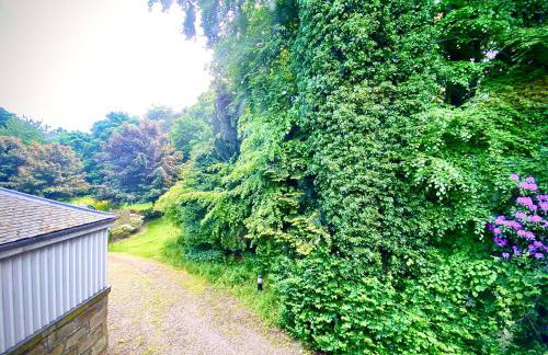 Grampian Serviced Apartments - Treetops Apartments - Photo 4