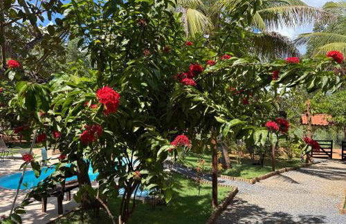 Recanto Paraiso - Foto 22