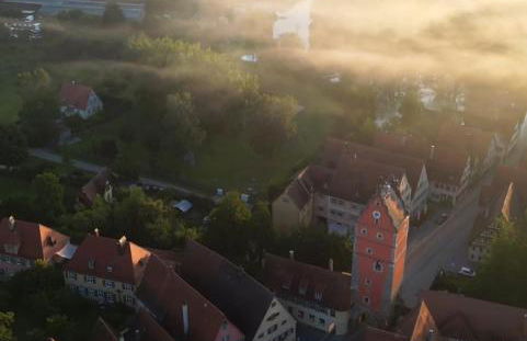 Dornröschen - Foto 18