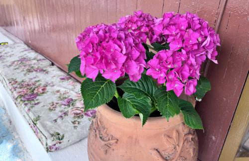 The Beach house - Foto 14