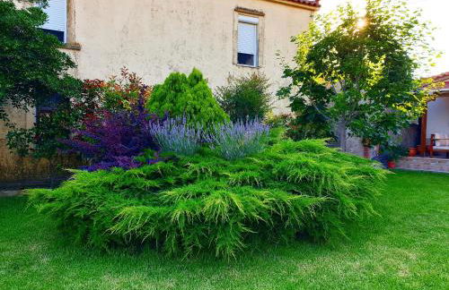 Repanidi Apartment D / Ρεπανίδι Διαμέρισμα Δ - Foto 44
