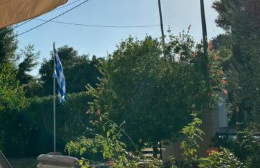 Alexandra's garden - Photo 50