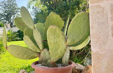 Casa Portacrànni - Foto 16