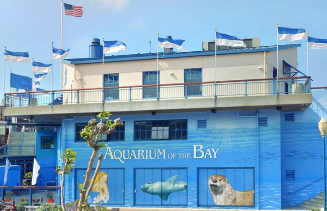 Entrada al Aquarium of the Bay - Foto 8