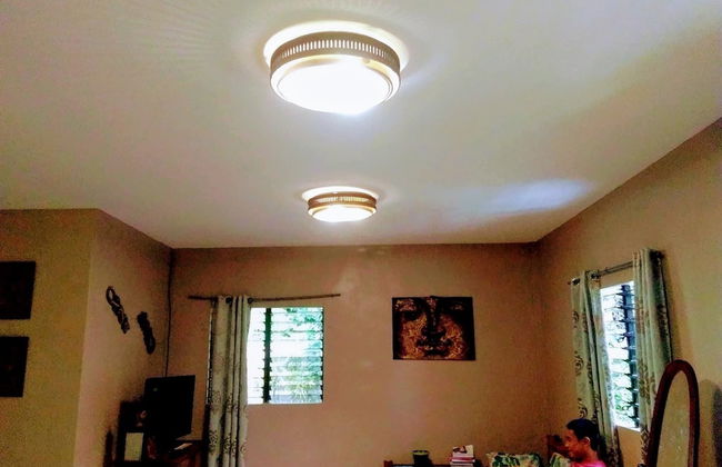 Banaba Tree House - Photo 17