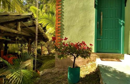 Sitio Libardo em Meio a Natureza - Nova Trento - Foto 146