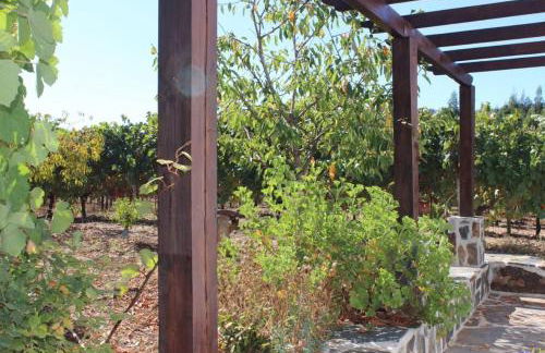 Casa da Tileira - Photo 32