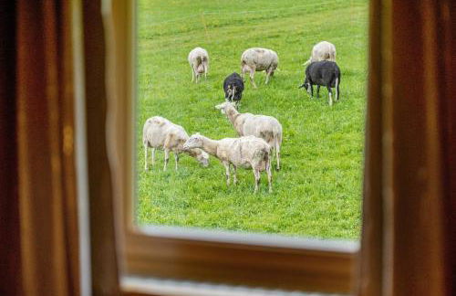 New Teindlhof - Foto 38