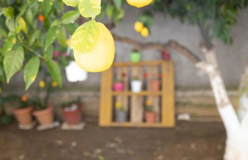 Poulakis House - Foto 25