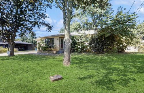 The Torino - Foto 23