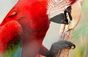 La Fattoria Delle Tartarughe - Photo 32