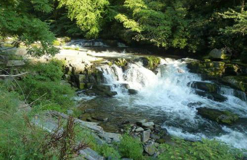 Nantahala Spiritual Retreat - Remote and Peaceful! - Foto 22