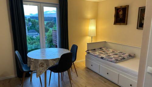 2 Zi Ferienwohnung mit schöner Aussicht und mit Balkon bis zu 5 Personen in Loßburg, Schwarzwald - Foto 2