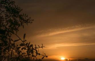 Finca Los Collados de San Miguel - Foto 36