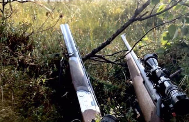 Metsä Kolo - Photo 37