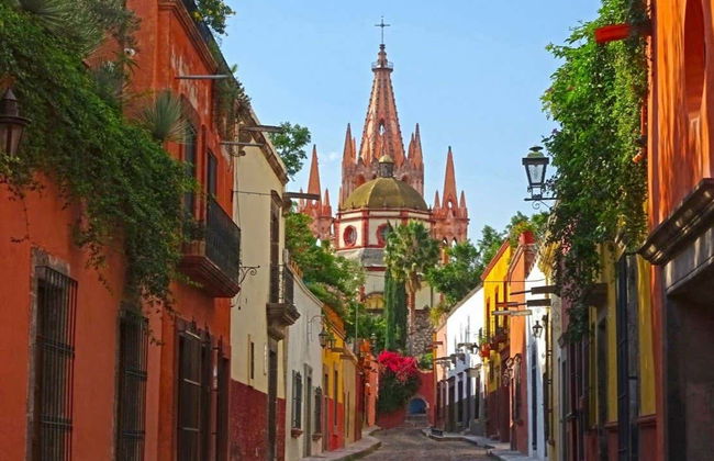 Visita a un viñedo de San Miguel de Allende - Foto 5