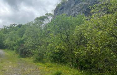 Kabin in the woods with Hot Tub - Foto 72