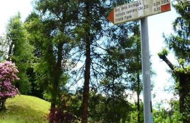 ALLA CASCATA in centro Branzi self check-in parcheggio gratuito coperto - Foto 24