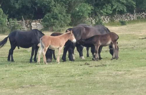 Mirador de San Matias - Foto 38