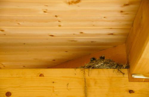 Eco-Friendly Holiday Home Near The Baltic Sea - Foto 33