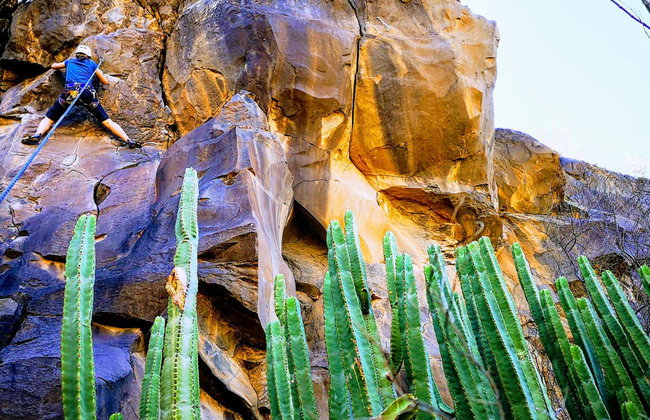 Escalada en Costa Adeje - Foto 9