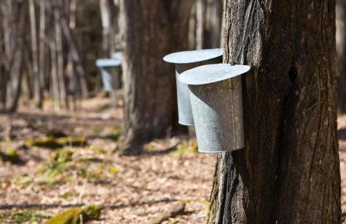 Sugar Maple Farm near Acadia - 5 Bedrooms, 5 Beds with FirePit and Large Deck - Foto 72