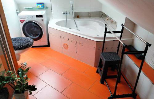 Ferienwohnung Am Waldesrand - Garten, Terrasse, Grill, Luftkühler, Massagesessel, Kinderspielecke, Spielekonsole - Foto 24