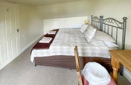 Lily Pad 2 - Uk43901 - Foto 10