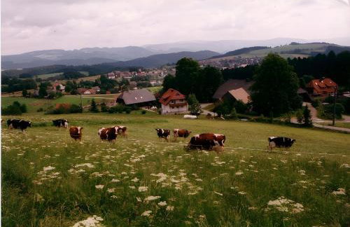 Ferien Auf Dem Steingrubenhof - Foto 4