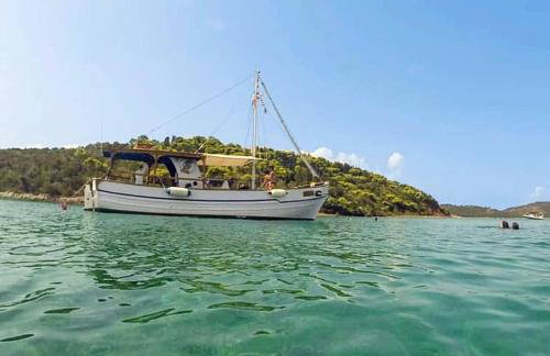 An Edens Garden Near The Sea - Pansion Youli - Foto 12