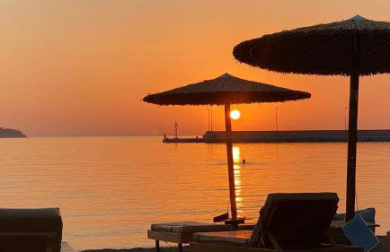 Anastasia's Corner - Photo 48