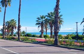 El Paraiso de Pepa - Photo 10