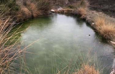 Casa rural La Azuleja de Alatoz - Foto 28