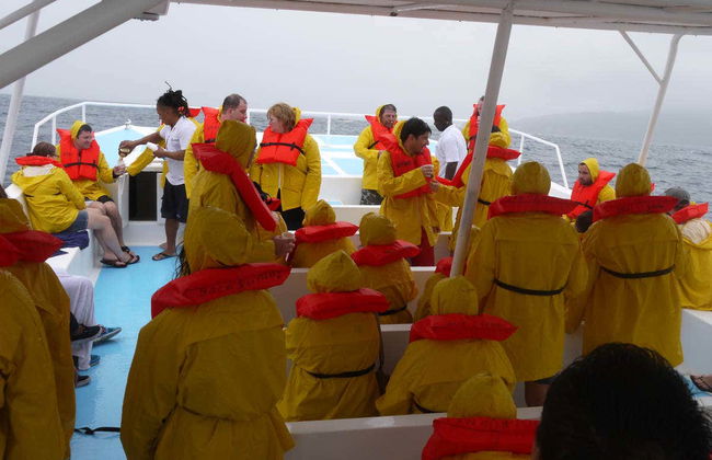 Avistamiento de ballenas en Samaná - Foto 3
