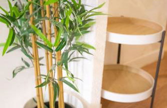 Loft - centre historique - Photo 70