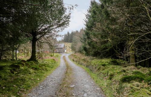 Brithgwm Canol - Foto 23