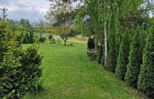 Domki pod Brzozą - Foto 24