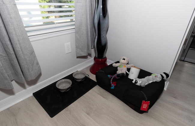 Pet Friendly Modern Zen Studio Retreat W/ Hot Tub! Home by RedAwning - Foto 9