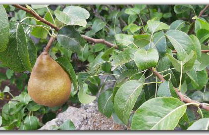 Casa Tío Pedro Martín - Foto 26
