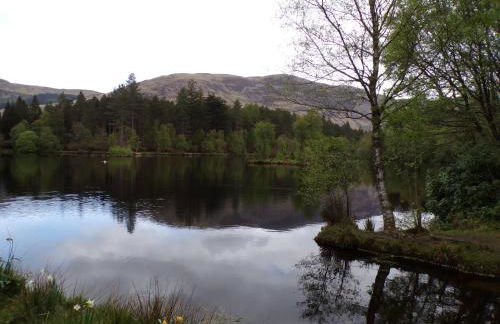 Tower Ridge Apartments - Photo 51