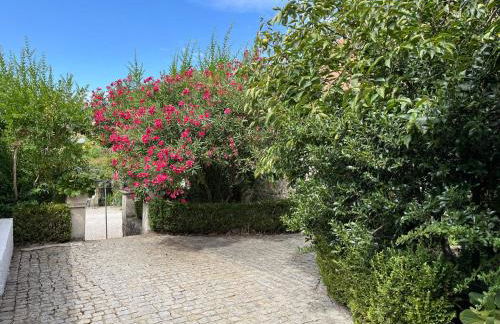 Quinta Santo Antonio do Rio - Foto 11